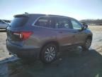 2019 Honda Pilot EXL