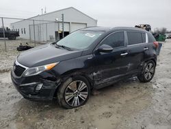 Salvage cars for sale from Copart Cicero, IN: 2015 KIA Sportage EX