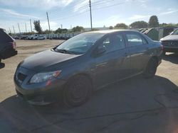 Salvage cars for sale at Miami, FL auction: 2010 Toyota Corolla Base