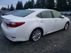 2014 Lexus ES 300H