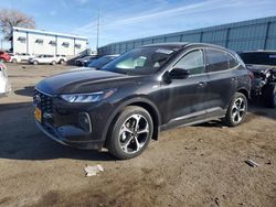 Salvage cars for sale at Albuquerque, NM auction: 2023 Ford Escape ST Line Select