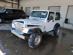 1995 Jeep Wrangler / YJ SE en venta en Chicago Heights, IL