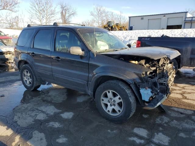 2004 Ford Escape Limited