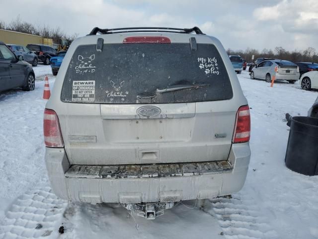 2011 Ford Escape Limited