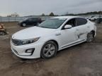 2016 KIA Optima Hybrid