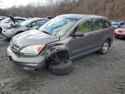 Salvage cars for sale from Copart Marlboro, NY: 2010 Honda CR-V LX