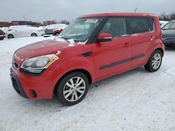 Salvage cars for sale at Columbus, OH auction: 2013 KIA Soul +