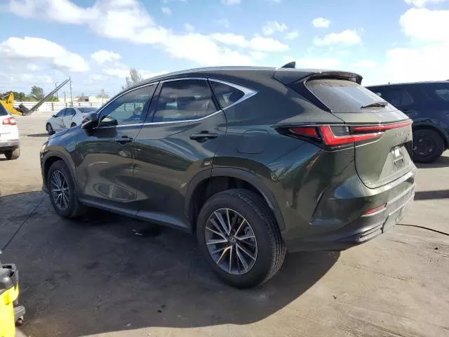 2025 Lexus NX 250 Premium