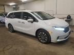 2024 Honda Odyssey EXL