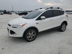 Ford Escape salvage cars for sale: 2013 Ford Escape SEL