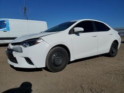 Salvage cars for sale at Adelanto, CA auction: 2015 Toyota Corolla L