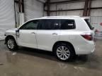 2008 Toyota Highlander Hybrid Limited