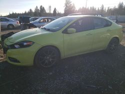 Dodge salvage cars for sale: 2013 Dodge Dart SXT