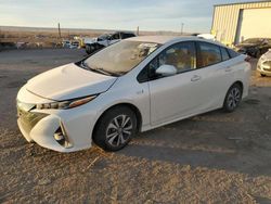 Salvage cars for sale at Albuquerque, NM auction: 2019 Toyota Prius Prime