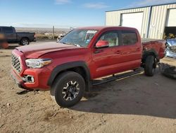 Salvage cars for sale at Albuquerque, NM auction: 2021 Toyota Tacoma Double Cab