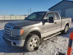 Salvage cars for sale at Barberton, OH auction: 2011 Ford F150 Super Cab