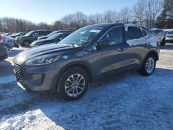 Salvage cars for sale at North Billerica, MA auction: 2020 Ford Escape SE