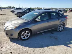 Ford salvage cars for sale: 2013 Ford Focus SE