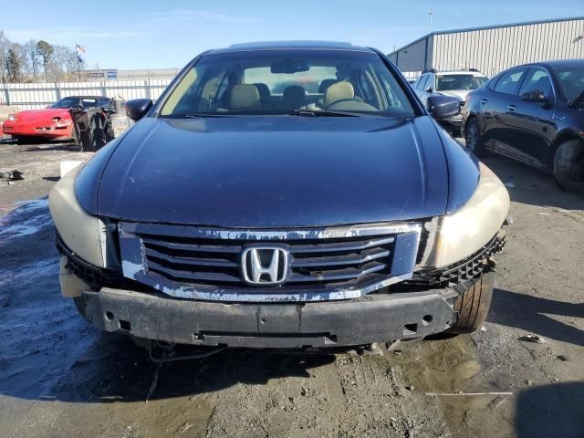 2008 Honda Accord EXL