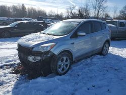 Ford Escape Vehiculos salvage en venta: 2014 Ford Escape SE