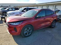 Ford Escape st salvage cars for sale: 2024 Ford Escape ST Line