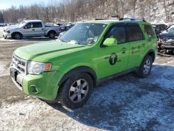 Salvage cars for sale from Copart Marlboro, NY: 2012 Ford Escape Limited