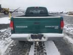 2004 Dodge Dakota SLT