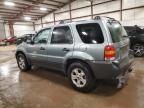 2005 Ford Escape XLT