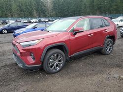 Toyota rav4 Limited salvage cars for sale: 2024 Toyota Rav4 Limited