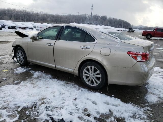 2010 Lexus ES 350