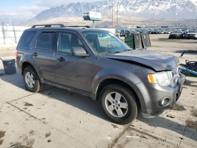 2011 Ford Escape XLT