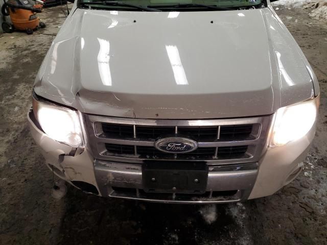 2011 Ford Escape Limited