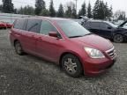 2005 Honda Odyssey EXL