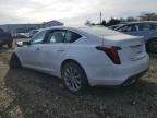 2024 Cadillac CT5 Premium Luxury