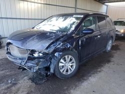 Salvage cars for sale at Brighton, CO auction: 2016 Honda Odyssey EX