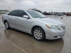 2009 Toyota Camry Hybrid