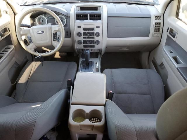 2009 Ford Escape XLT