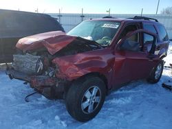 Salvage cars for sale at Cahokia Heights, IL auction: 2010 Ford Escape XLT