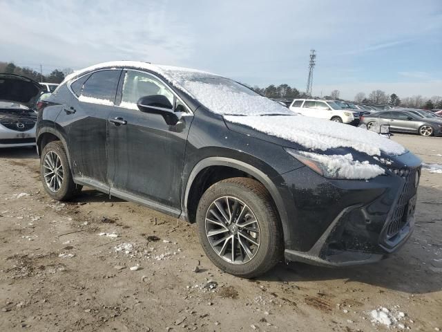 2024 Lexus NX 350 Premium