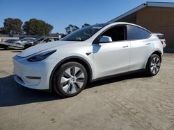 Salvage cars for sale at Hayward, CA auction: 2023 Tesla Model Y