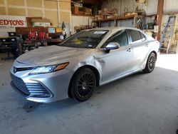 Salvage cars for sale at Bakersfield, CA auction: 2022 Toyota Camry LE