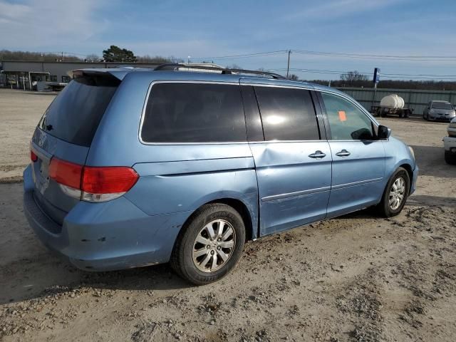 2008 Honda Odyssey EXL