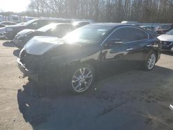 Salvage cars for sale from Copart Glassboro, NJ: 2012 Nissan Maxima S