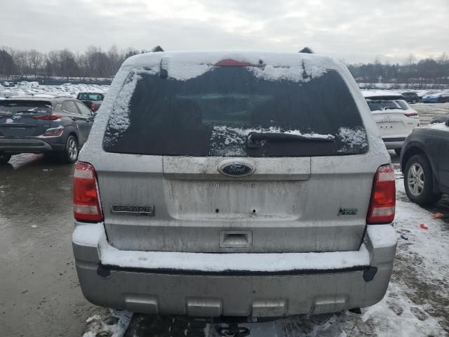 2010 Ford Escape XLT