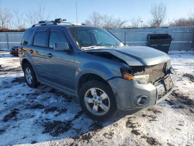 2010 Ford Escape Limited