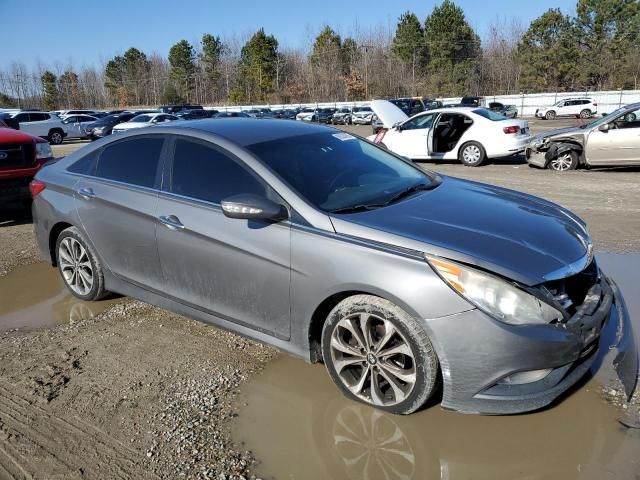 2014 Hyundai Sonata SE