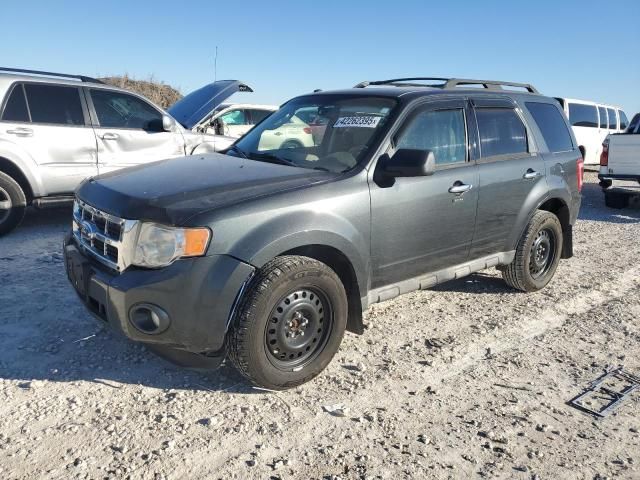 2009 Ford Escape XLT