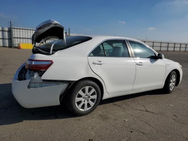 2009 Toyota Camry Hybrid