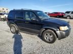 2004 Ford Escape XLT