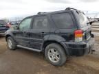 2007 Ford Escape XLT